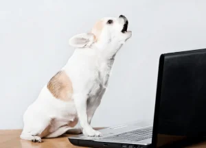 Read more about the article Is It Cruel To Make Your Dog Howl? Expert Opinion