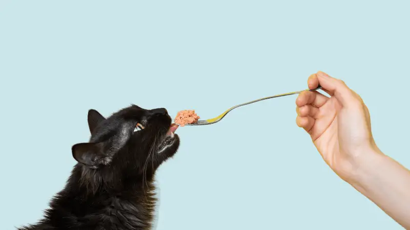 Pure Cravings Cat Food photo 2