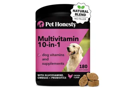 Dog Vitamins and Supplements for Skin and Coat photo