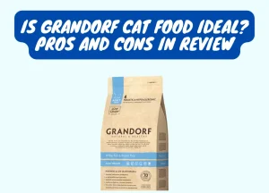 Read more about the article Is Grandorf Cat Food Ideal? Pros and Cons in Review