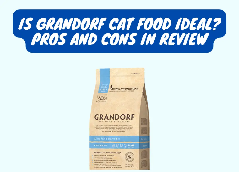 Grandorf Cat Food photo