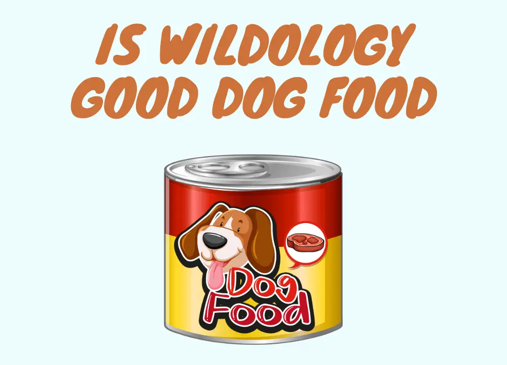 Is Wildology Good Dog Food? Find Out in Our Full Review Days Pets