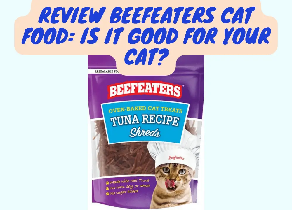 Review Beefeaters Cat Food Is It Good for Your Cat photo