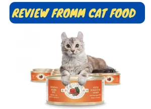 Read more about the article Review Fromm Cat Food: Ingredients, Recipes, Pros & Cons