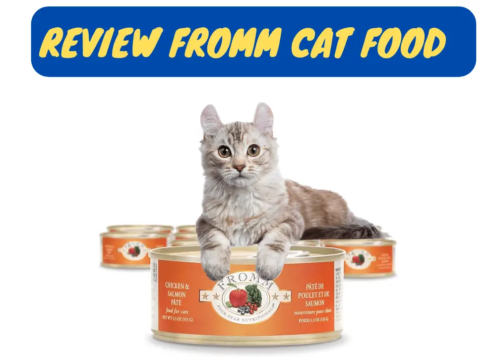 Review Fromm Cat Food Ingredients, Recipes, Pros & Cons photo