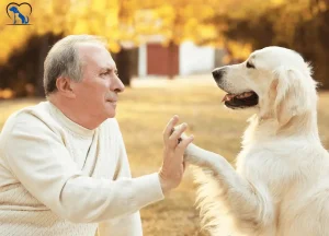 Read more about the article 10 Worst Dog Breeds For Seniors: High Maintenance