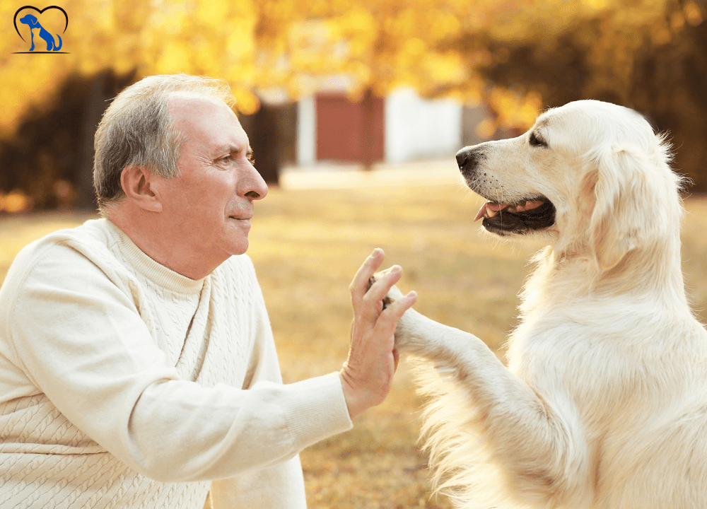 Worst Dog Breeds For Seniors photo