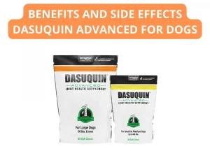 Read more about the article Benefits And Side Effects Dasuquin Advanced For Dogs
