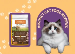 Read more about the article Instinct Cat Food Reviews