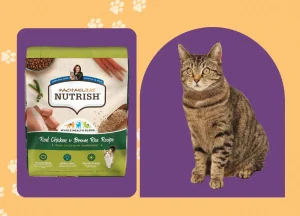 Read more about the article Is Rachael Ray Nutrish Good For Cats?