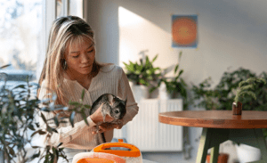 Read more about the article How to Keep Your Cat Safe and Stylish with Custom Cat Tags