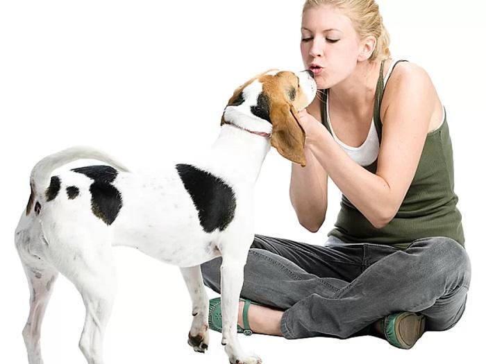 Can Your Pet Feel Emotions Understanding Pet Psychology