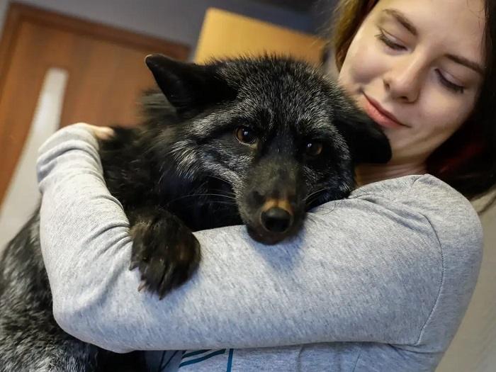 How to Safely Observe Wildlife and Exotic Animals