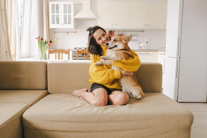 You are currently viewing Pet-Friendly Apartments: Finding the Perfect Home for You and Your Furry Friend