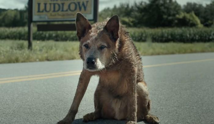 Pet Sematary and Its Legacy Small