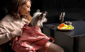 Read more about the article My pet eats me poor – How you deal with it