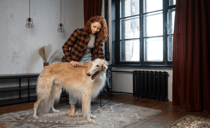 You are currently viewing Are Certain Dog Breeds Truly More Aggressive?