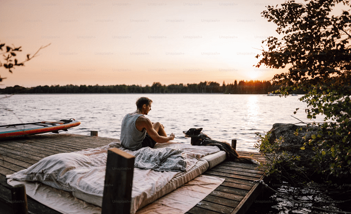 You are currently viewing Creating a Happy Home: Tips for Pet-Friendly Living Spaces