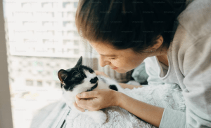 Read more about the article Building Stronger Bonds: The Power of Pets in Everyday Life