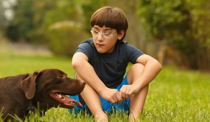 Special Considerations Children and Dogs