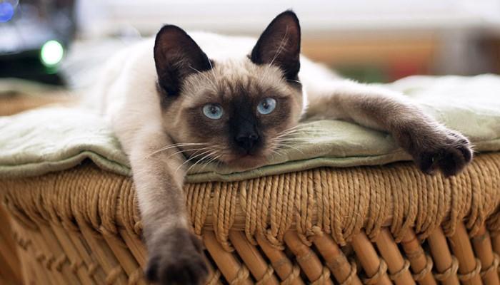 The Importance of Choosing the Right Name