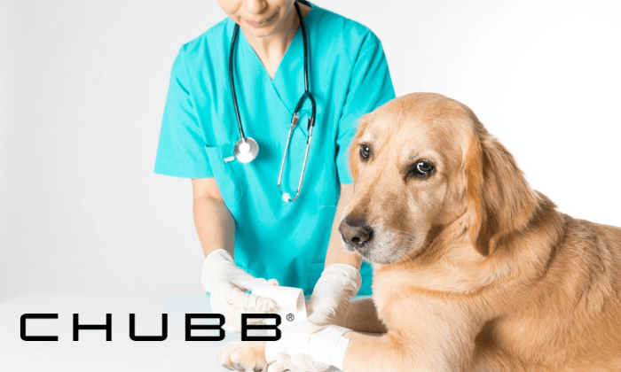 What Does Healthy Paws Pet Insurance Cover Small