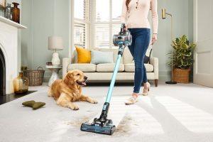 Read more about the article Best Cordless Vacuum for Pet Hair