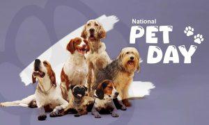 Read more about the article National Pet Day 2024: Celebrating Our Furry Friends and More