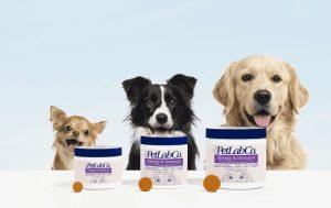 Read more about the article Understanding Pet Lab Co: A Comprehensive Guide