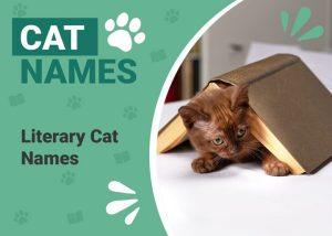 Read more about the article T.S. Eliot’s Cats Names List: The Magical World of Feline Nomenclature