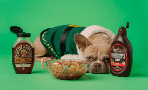 Read more about the article Choosing the Best Food for Your Pet’s Health