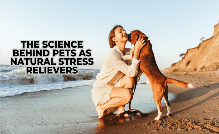 Read more about the article The Science Behind Pets as Natural Stress Relievers