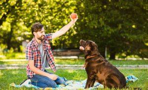Read more about the article 8 Expert Tips to Keep a Dog Happy & Healthy