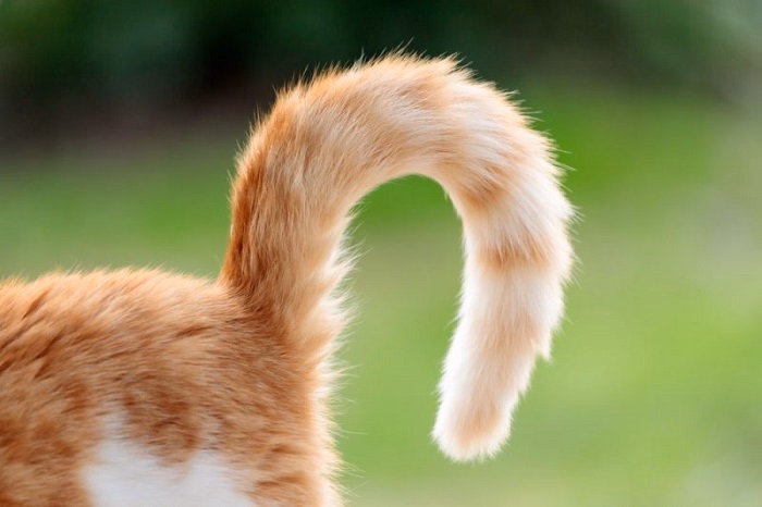 Excitement or Happiness 1