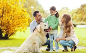 Read more about the article How to Prepare Your Home for Both Family and Pets