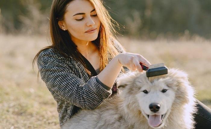 You are currently viewing Grooming Essentials: Keeping Your Fur Pets Happy and Healthy