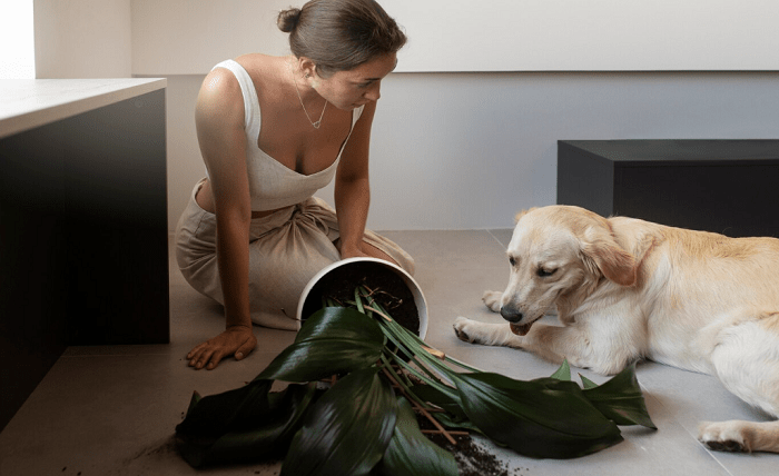 You are currently viewing Eco-Friendly Cleaning Habits for Pet Owners