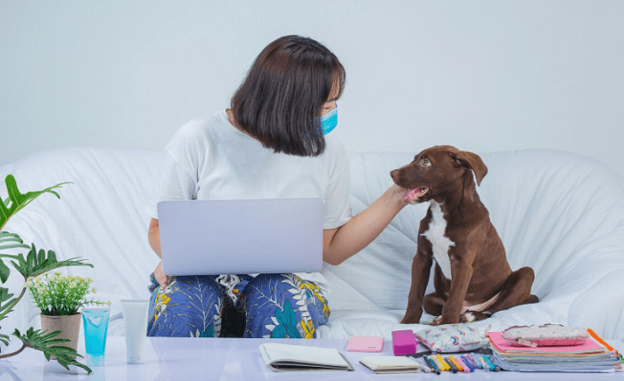 You are currently viewing 5 Reasons At-Home Vet Care Might Be Right for Your Pet
