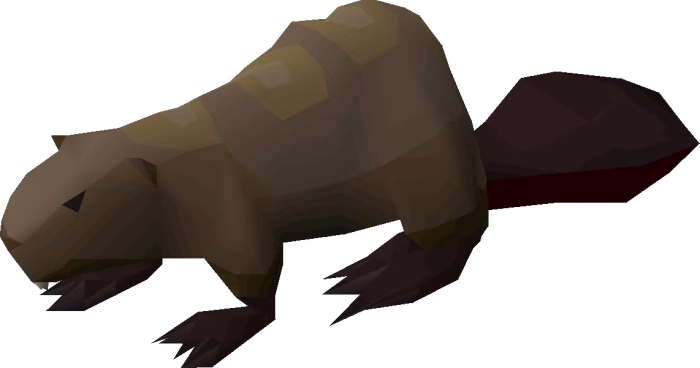 Beaver pet e1738214440866
