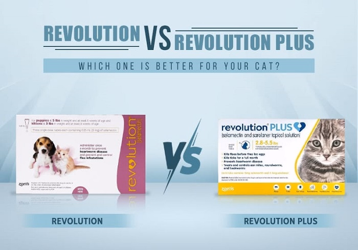 How Often Should You Use Revolution Plus