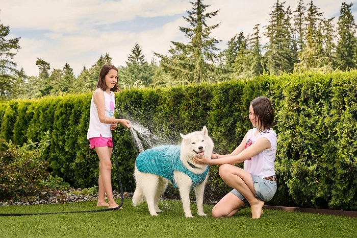 Large Variety of RC Pets Products