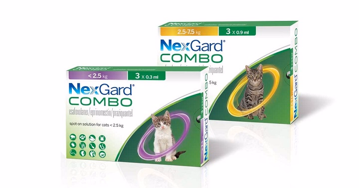 You are currently viewing Nexgard For Cats: A Complete Guide To Flea And Tick Prevention