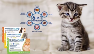 Read more about the article Revolution Plus for Cats: Comprehensive Protection Against Parasites