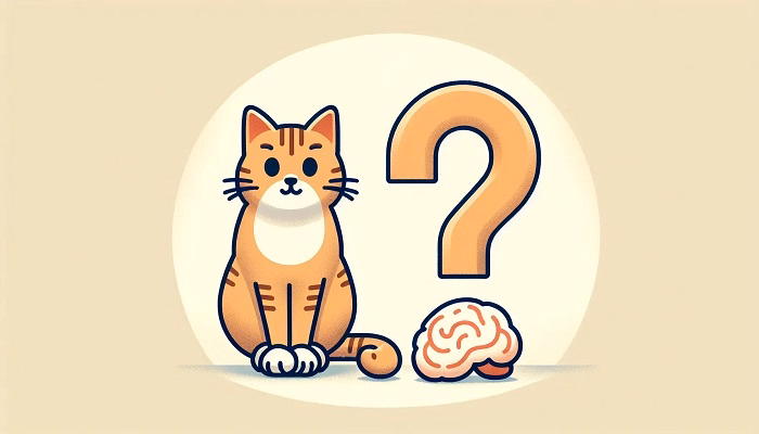 Understanding Autism in Humans vs. Feline Behavior