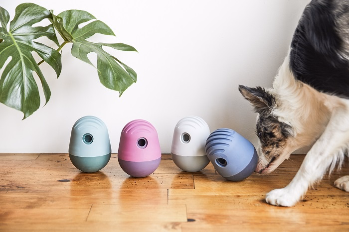 Why Fable Pets Are So Popular