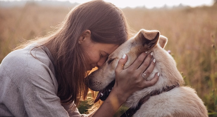 You are currently viewing Caring for Pets: A Guide to Cherishing Your Furry Friends
