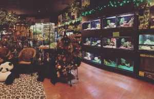 Read more about the article Bridges Pets: The Complete Guide to Pet Care and Products