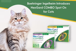 Read more about the article Cats with Down Syndrome: Understanding the Myth and Reality