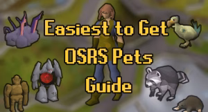 Read more about the article Everything You Need to Know About Pets in Old School RuneScape (OSRS)