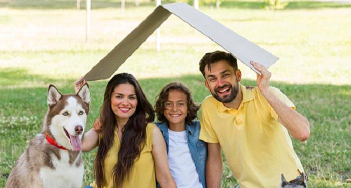 Adoption vs. Purchase Whats the Difference